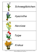 Frühlingsblüher-Anlautschrift-Lösung.pdf